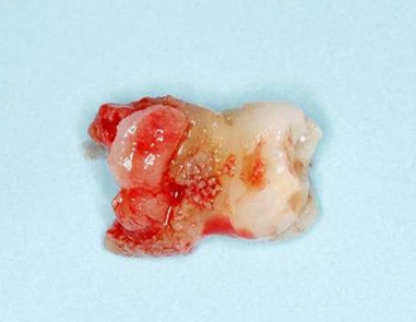 Dental Practice Management