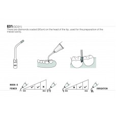 DTE - INSERT GD31