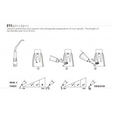 DTE - INSERT ED11