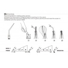 DTE - INSERT ED3