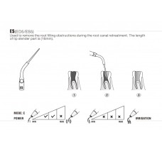 DTE - INSERT ED5