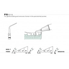 DTE - INSERT PD10