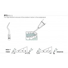 DTE - INSERT PD11