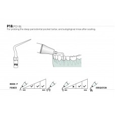 DTE - INSERT PD18