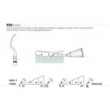 DTE - INSERT PD20