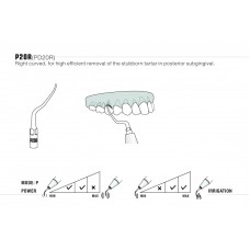 DTE - INSERT PD20R