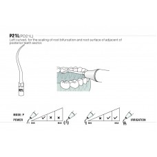 DTE - INSERT PD21L