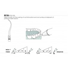 DTE - INSERT PD21R