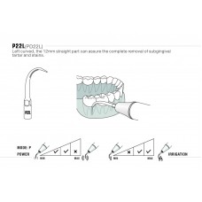 DTE - INSERT PD22L