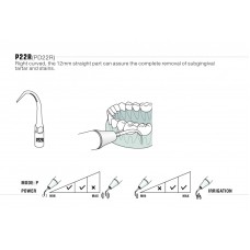 DTE - INSERT PD22R