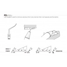 DTE - INSERT PD2L