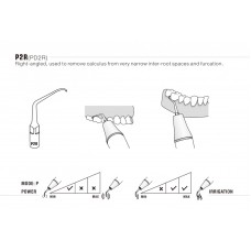 DTE - INSERT PD2R