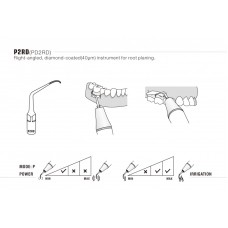 DTE - INSERT PD2RD