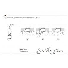 WOODPECKER - INSERT UP1