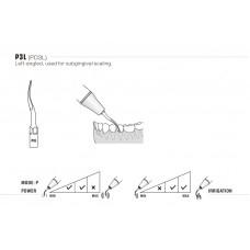 DTE - INSERT PD3L / P3L