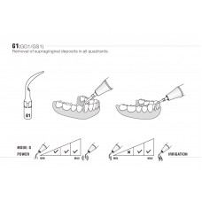 WOODPECKER DTE - SCALING KIT - EMS® COMPATIBLE