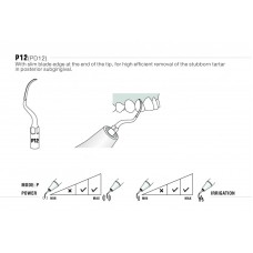 WOODPECKER DTE - SCALING KIT - EMS® COMPATIBLE