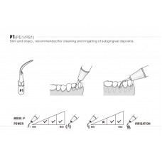 WOODPECKER DTE - SCALING KIT - SATELEC® & ACTEON COMPATIBLE