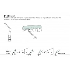 WOODPECKER DTE - PERIO KIT - SATELEC® & ACTEON COMPATIBLE