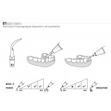 WOODPECKER - INSERT G1