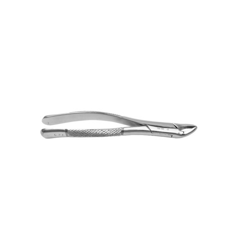 Extraction Forceps #150 serrated