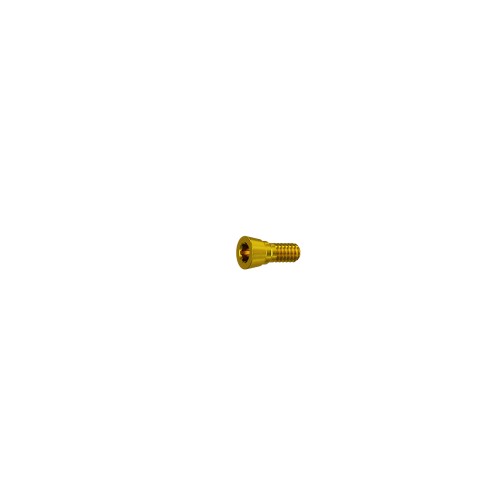 NP Conical Implant Cover Screw