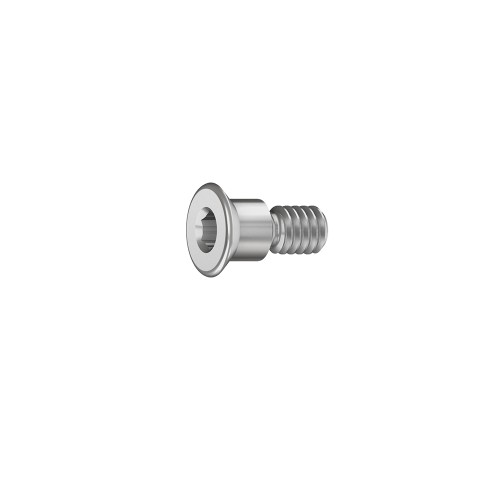RS Implant Cover Screw