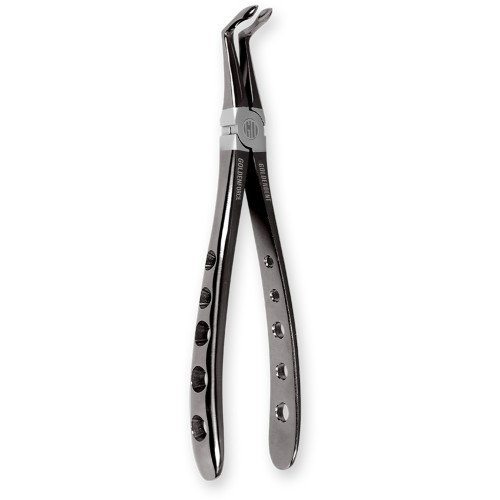 GoldenForce Series - Lower Root Tip Forceps