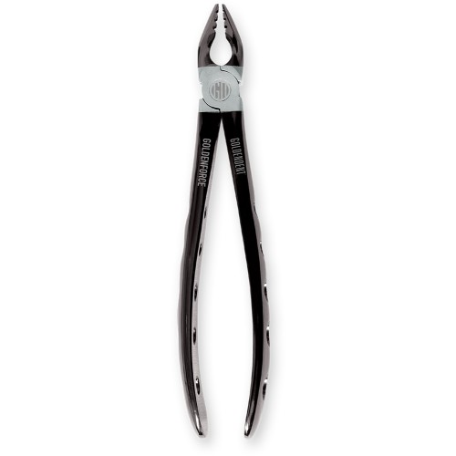 GoldenForce Series - Upper Anterior Forceps