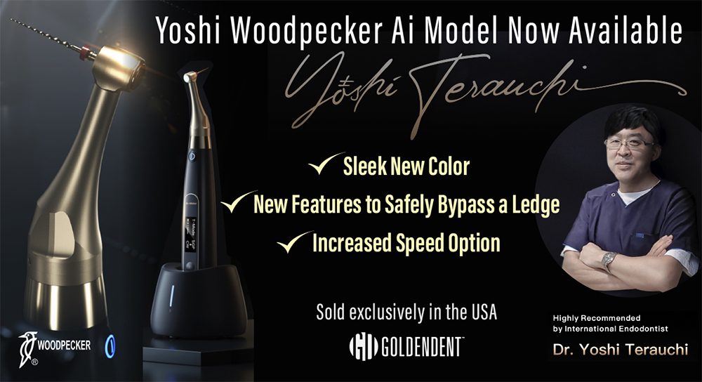 Woodpecker Endo Motor Model Ai Yoshi Version